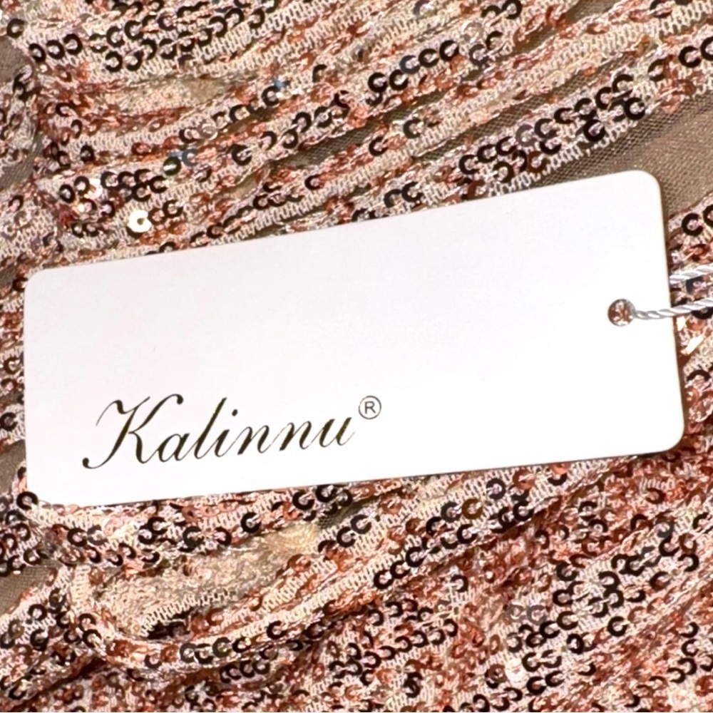 Rose Gold Sequin Maxi Dress with V-Neck and Sheer Tiered Sleeves - Picture 6 of 8